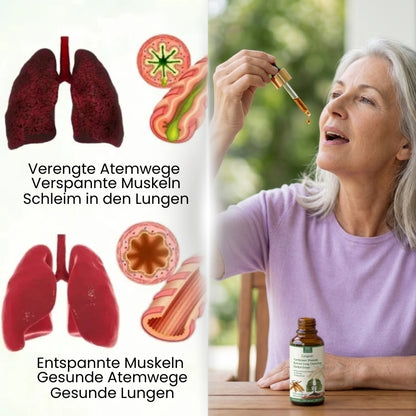Lungero™ | Pflanzliche Lungentropfen zur Lungenreinigung