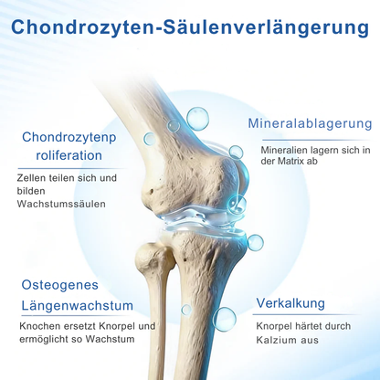 HeightBoost™ | Wachstumsöl