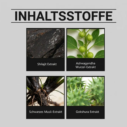 ErectaCore™ | Leistungssteigerungs-Supplements
