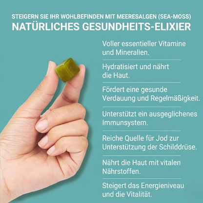 SeaGlow™ | Gummy-Multivitamine