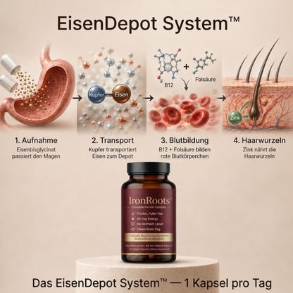 IronRoots™ | Eisen-Komplex