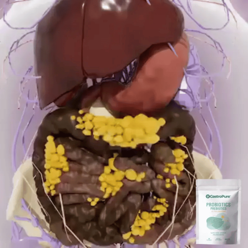 GastroPure™ | Kapseln für eine gesunde Darmfunktion