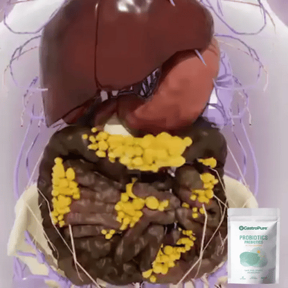 GastroPure™ | Kapseln für eine gesunde Darmfunktion