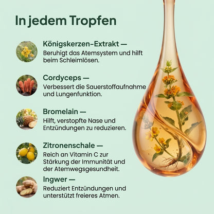 LungRenew™ | Königskerzen-Tropfen zur Unterstützung der Lunge
