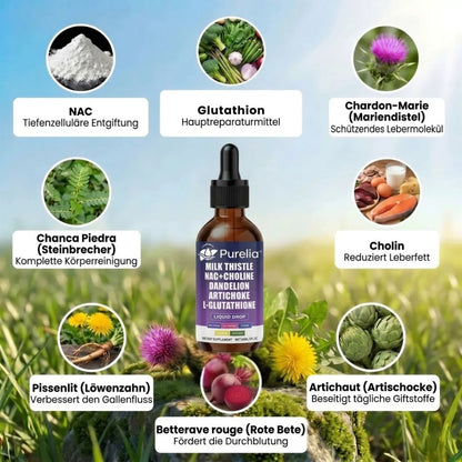 Purelia™ | Leber-Support-Supplement