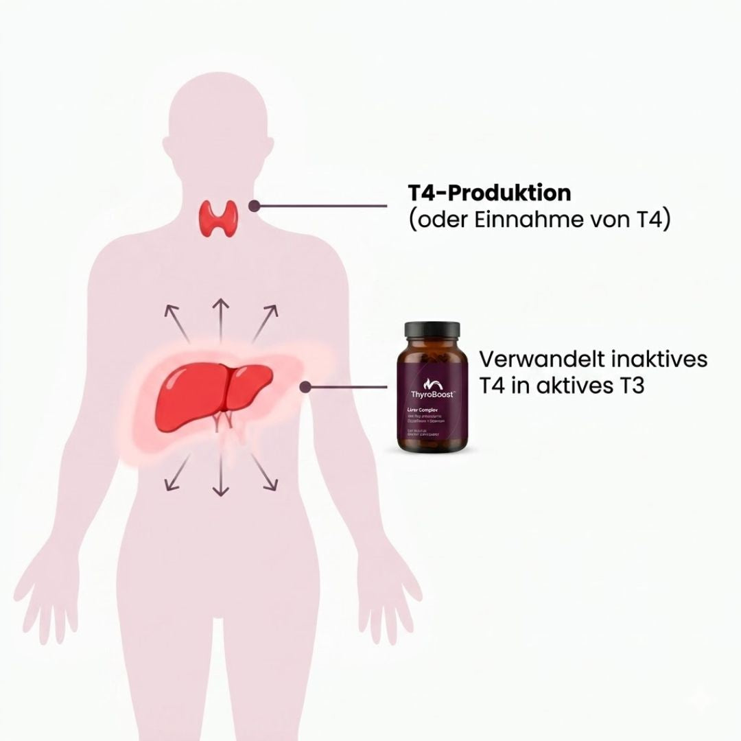 ThyroBoost™ | Metabolische Unterstützung