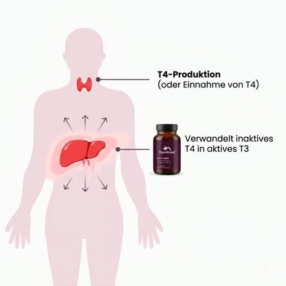 ThyroBoost™ | Metabolische Unterstützung