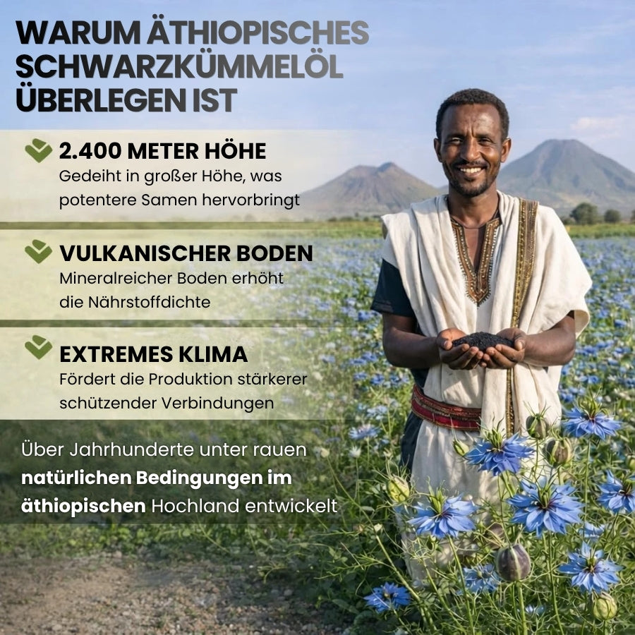PureElixir™ | Nahrungsergänzungskapseln mit äthiopischem Schwarzkümmelöl