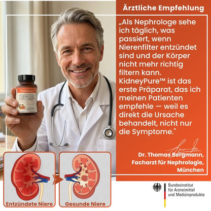 KidneyPure™ | Kurkuma + Ingwer + BioPerine® für die Nierengesundheit