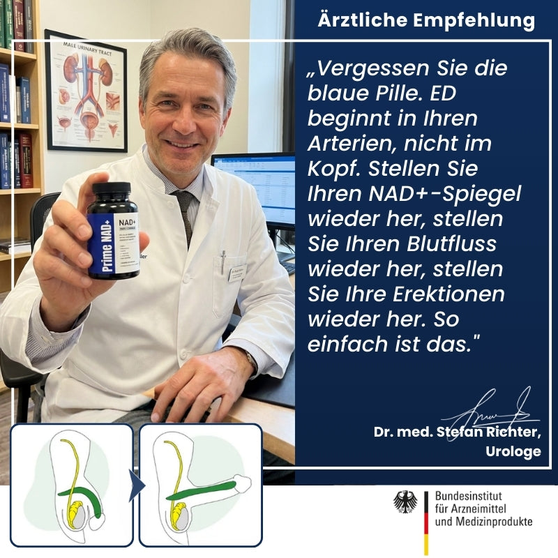 Prime NAD+™ | 13-in-1 Liposomales NAD+ gegen Erektionsstörungen