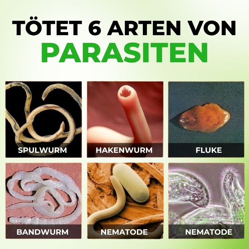ParaClear™ | Fenbendazol und Ivermectin zur Parasitenbeseitigung