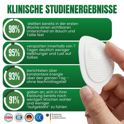 Slimora™ | Fortschrittliches Nano-Mikronadel-Abnehm-Pflaster