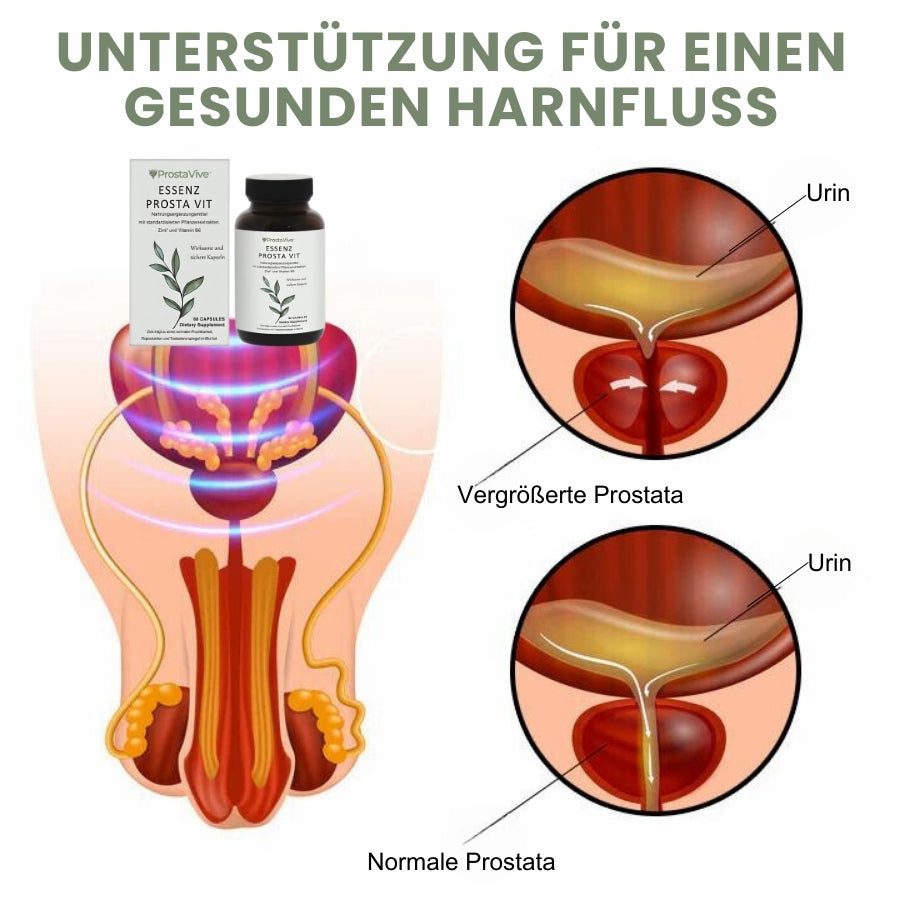 ProstaVive™ | Fortschrittliche Ergänzungsformel zur Prostataentlastung