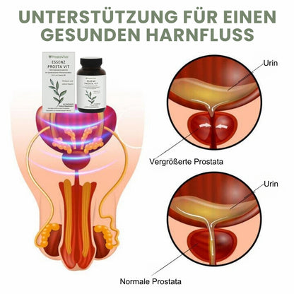 ProstaVive™ | Fortschrittliche Ergänzungsformel zur Prostataentlastung