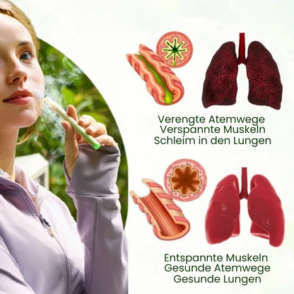 PuffiAir™ |  Königskerzenblatt-Diffusor ( 4 Aromen in einer Box )