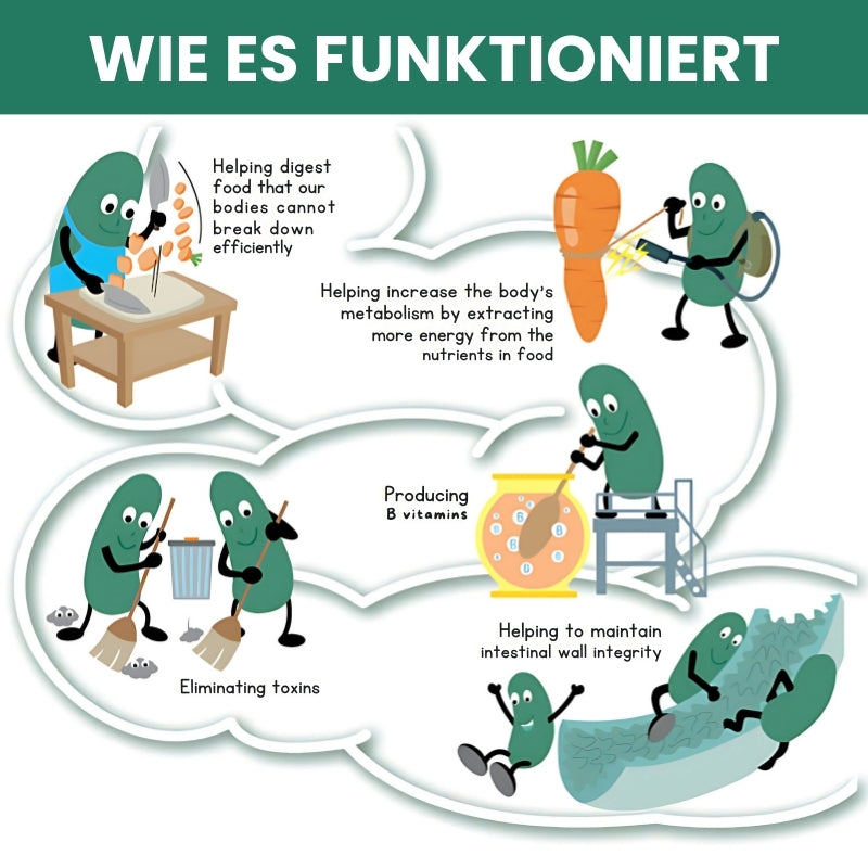 GastroPure™ | Kapseln für eine gesunde Darmfunktion