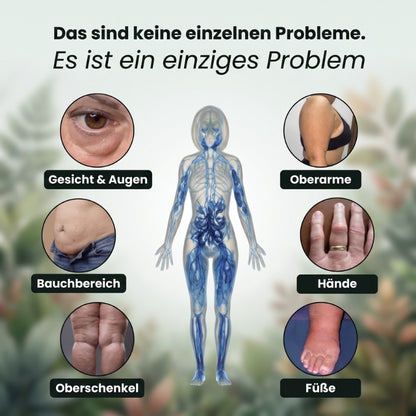 Lymphéa™ | 21 Pflanzenstoffe in 1