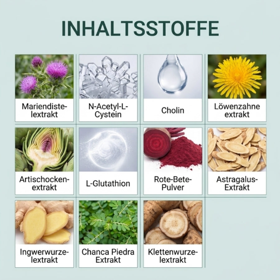 PuraLivix™ | Leberunterstützende Tropfen