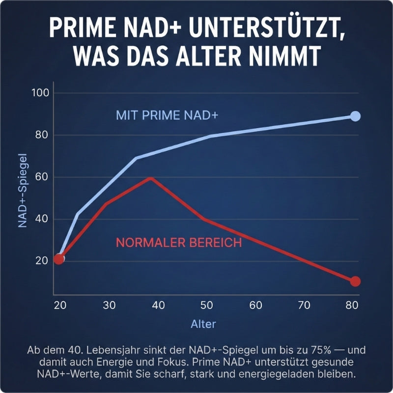 Prime NAD+™ | 13-in-1 Liposomales NAD+ gegen Erektionsstörungen
