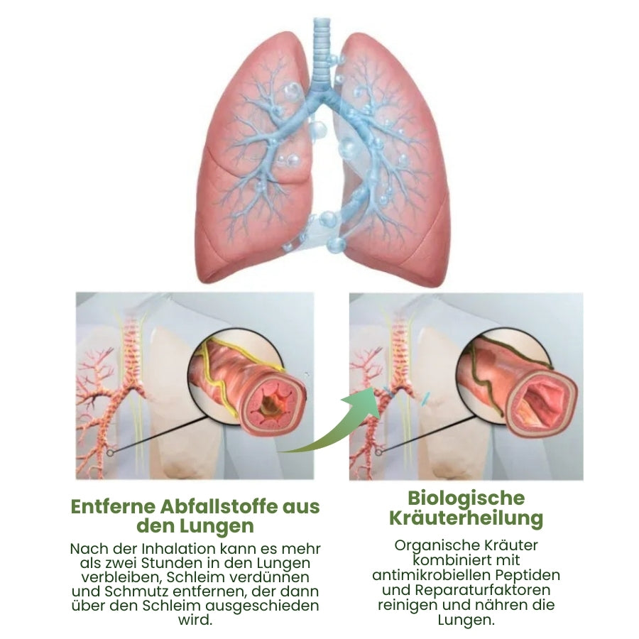 PuffiAir™ |  Königskerzenblatt-Diffusor ( 4 Aromen in einer Box )