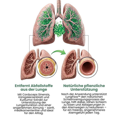 LungFlow™ | Lungenreinigende Kräutertropfen mit Cordyceps-Sinensis-Extrakt