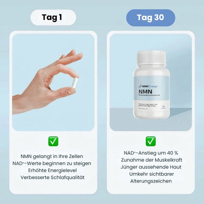 NMNCharge™ | Premium-Nicotinamid-Kapseln