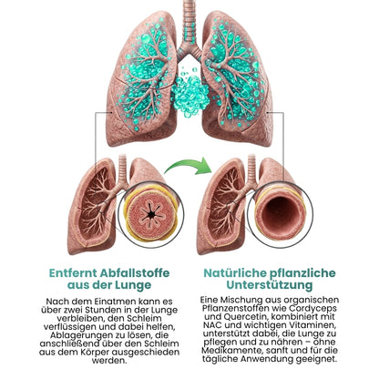 LungWell™ | Multifunktionale Nährstoffe für die Lunge