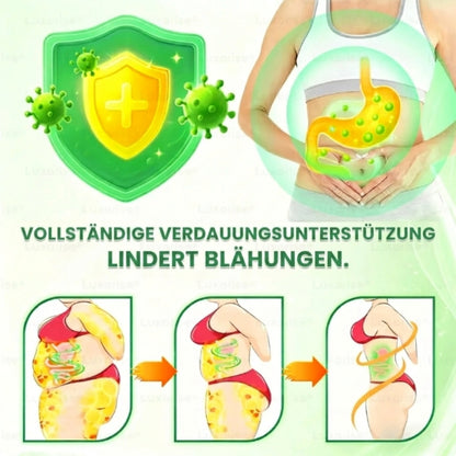 Slimora™ | Fortschrittliches Nano-Mikronadel-Abnehm-Pflaster