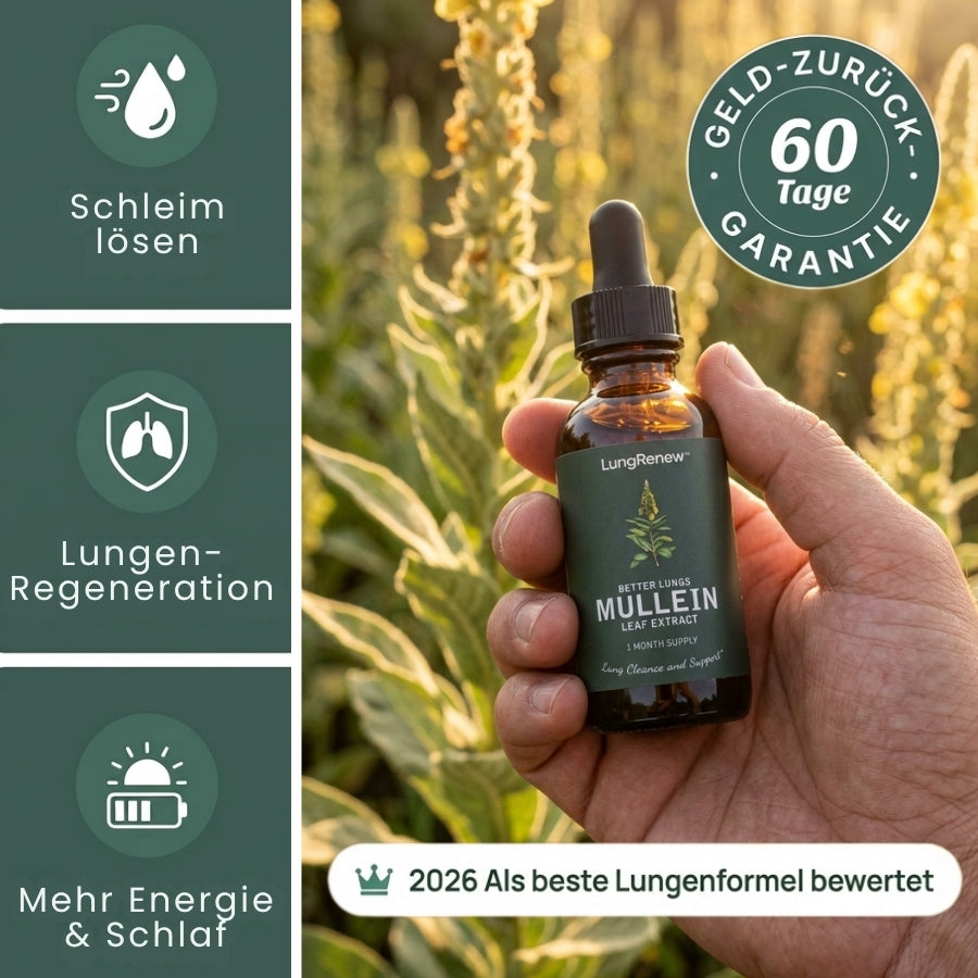 LungRenew™ | Königskerzen-Tropfen zur Unterstützung der Lunge