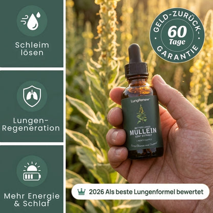 LungRenew™ | Königskerzen-Tropfen zur Unterstützung der Lunge