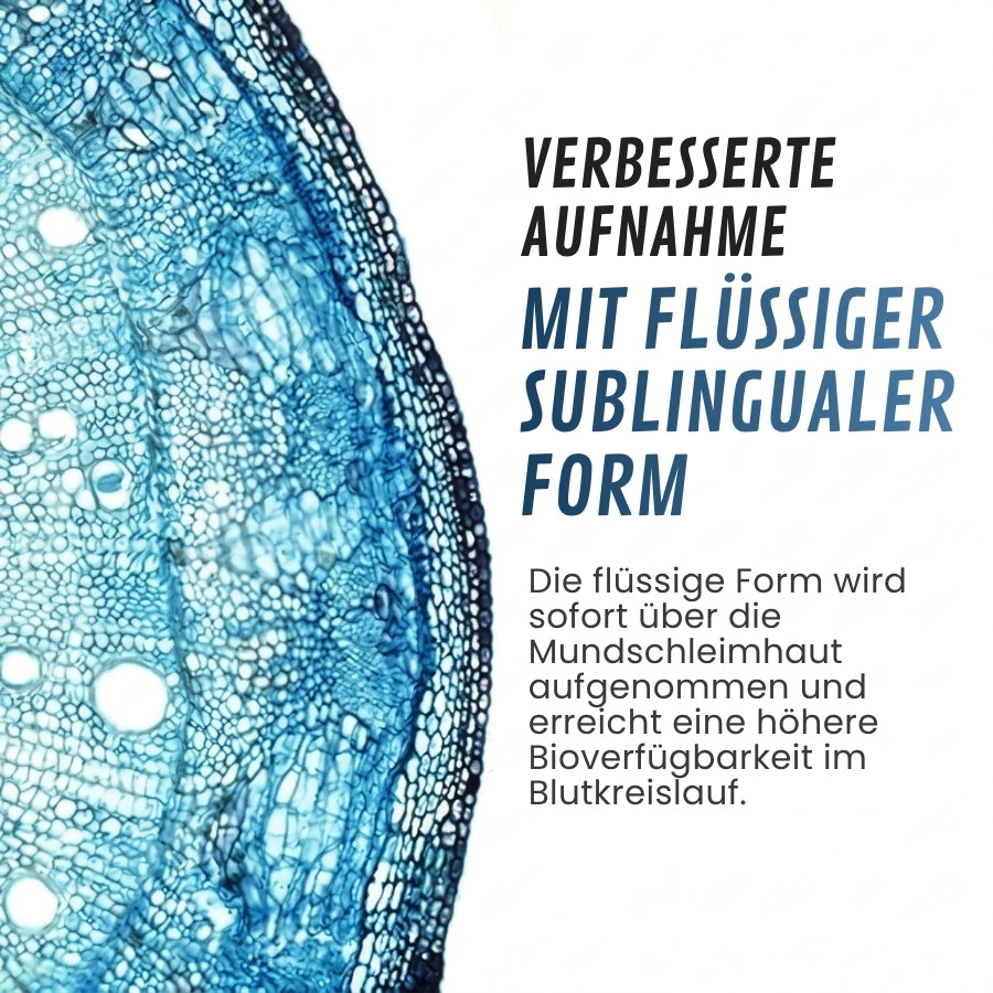 ClearMind™ | Klinische Dopamin-Wiederherstellungsformel