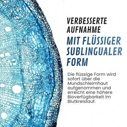 ClearMind™ | Klinische Dopamin-Wiederherstellungsformel