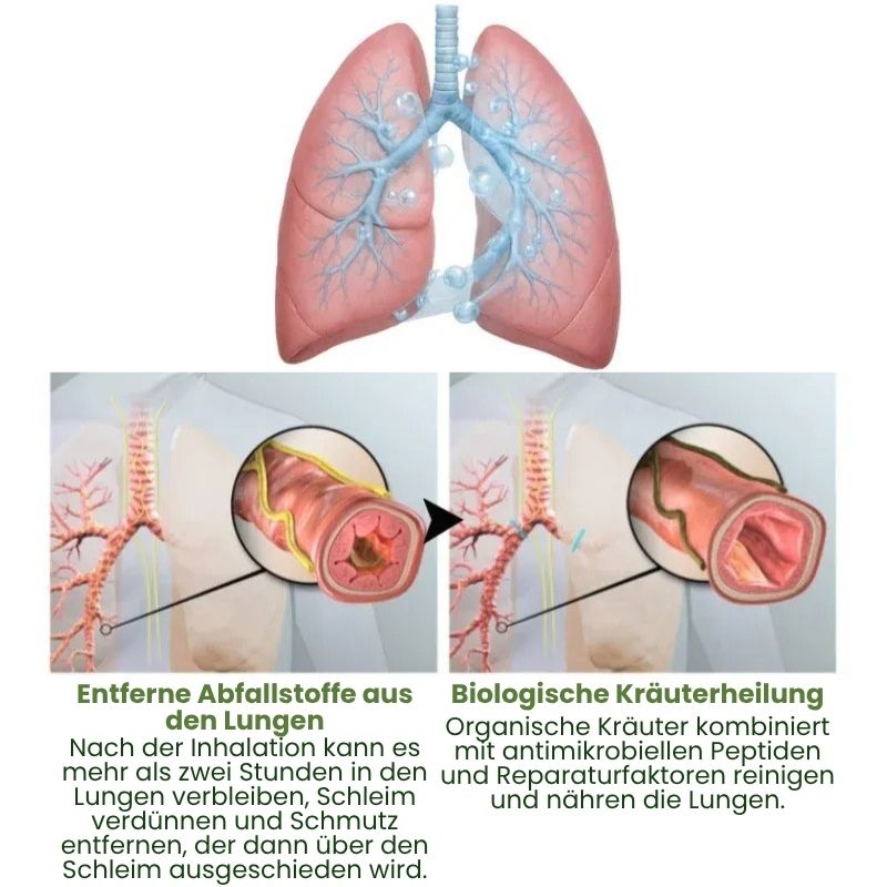 LungenRein™ Mullein Inhalator Pen | Atme tiefer und befreie deine Lungen in nur 7 Tagen