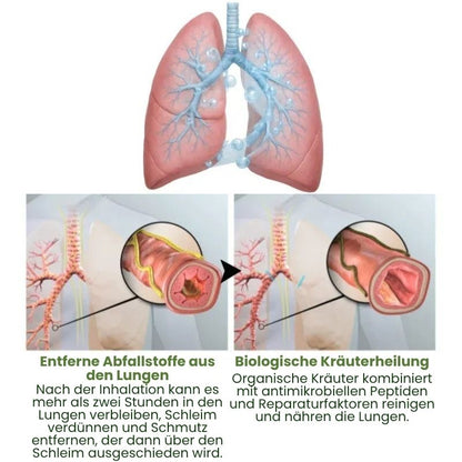 LungenRein™ Mullein Inhalator Pen | Atme tiefer und befreie deine Lungen in nur 7 Tagen