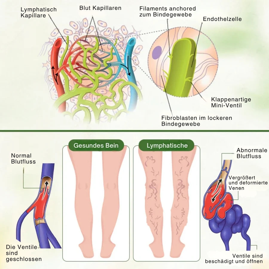 SwellPure™ | Lymphatic Detox Kräutercreme