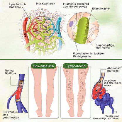 SwellPure™ | Lymphatic Detox Kräutercreme