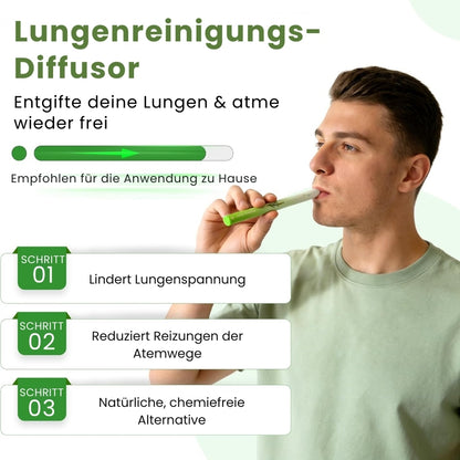 PuffiAir™ |  Königskerzenblatt-Diffusor ( 4 Aromen in einer Box )