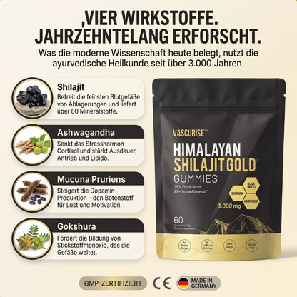 VascuRise™ | Shilajit-Gummies-Komplex für die männliche Potenz