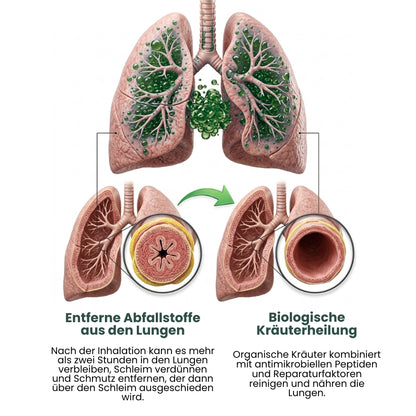 RespiCore™ | Probiotika zur Unterstützung der Lunge