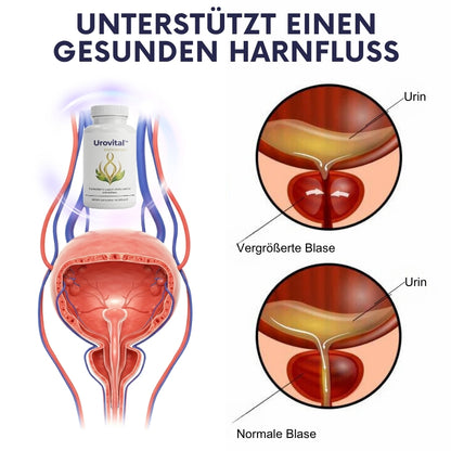 Urovital™ |  Unterstützung für die Gesundheit der Harnwege