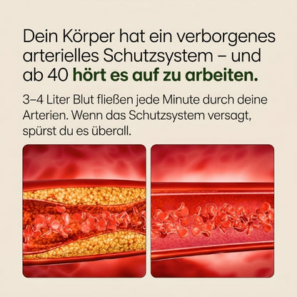 GarliCardio™ | Premium gereifter Knoblauch für eine bessere Durchblutung