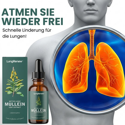LungRenew™ | Königskerzen-Tropfen zur Unterstützung der Lunge