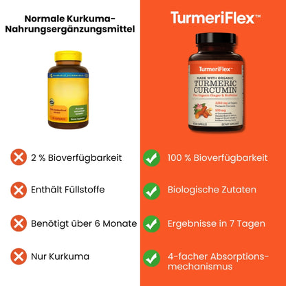 TurmeriFlex™ | Bio-Kurkuma-Curcumin für starke Gelenke
