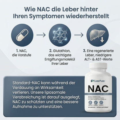 LiverPure™ | Leberunterstützende Kapsel