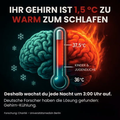 NightCalm™ | Deep Sleep Reset Nahrungsergänzung
