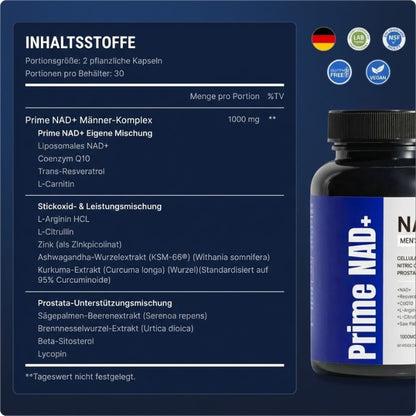 Prime NAD+™ | 13-in-1 Liposomales NAD+ gegen Erektionsstörungen