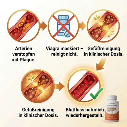 Vasorion™ | Löst Arterienablagerungen auf für natürliche Erektionen