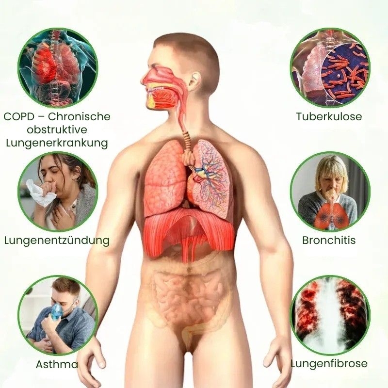 LungenRein™ Mullein Inhalator Pen | Atme tiefer und befreie deine Lungen in nur 7 Tagen
