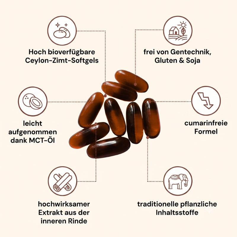 CeylonCinnamon™ | Ceylon-Zimt mit 7.200 mg Äquivalent und MCT-Öl