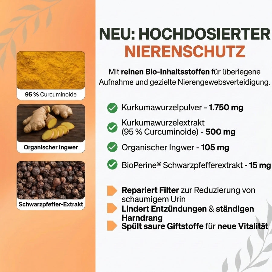 KidneyPure™ | Kurkuma + Ingwer + BioPerine® für die Nierengesundheit